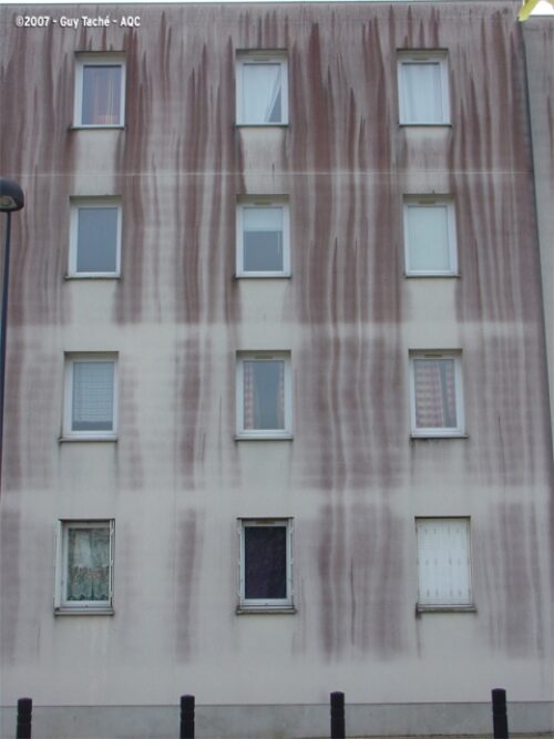 Désordre bâtiment : Développement d'algues rouges en façade - Concours photo AQC 2007 - Guy Taché
