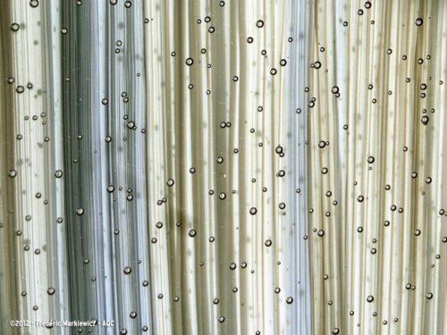 Désordre bâtiment : Apparition de bulles dans un vitrage - Concours photo AQC 2012 - Frédéric Markiewicz