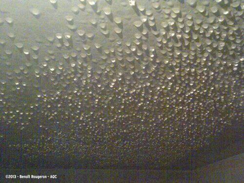 Désordre bâtiment : Condensation en sous-face de plafond - Concours photo AQC 2013 - Benoît Rougeron