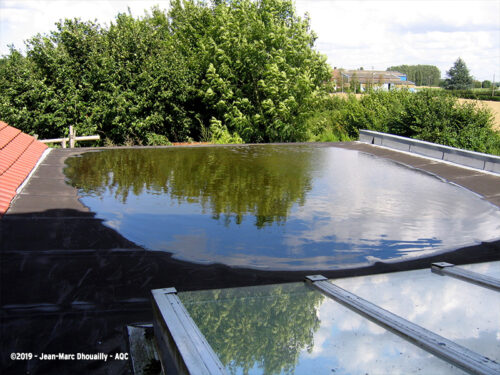 Désordre bâtiment : Déformation d’une toiture terrasse - Concours photo AQC 2019 - Jean-Marc Dhouailly