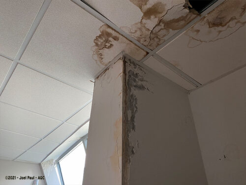Désordre de bâtiment : Infiltrations d'eau en plafond - Challenge photos MOOC AQC 2021 - Joel Paul