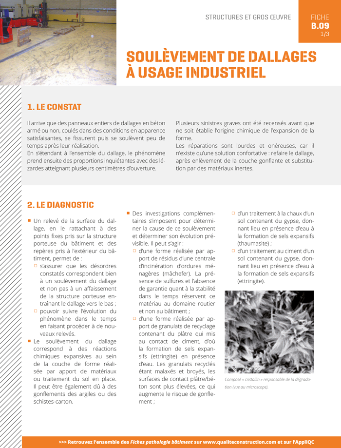 Fiche pathologie bâtiment - B.09 « Soulèvement des dallages à usage industriel » - AQC