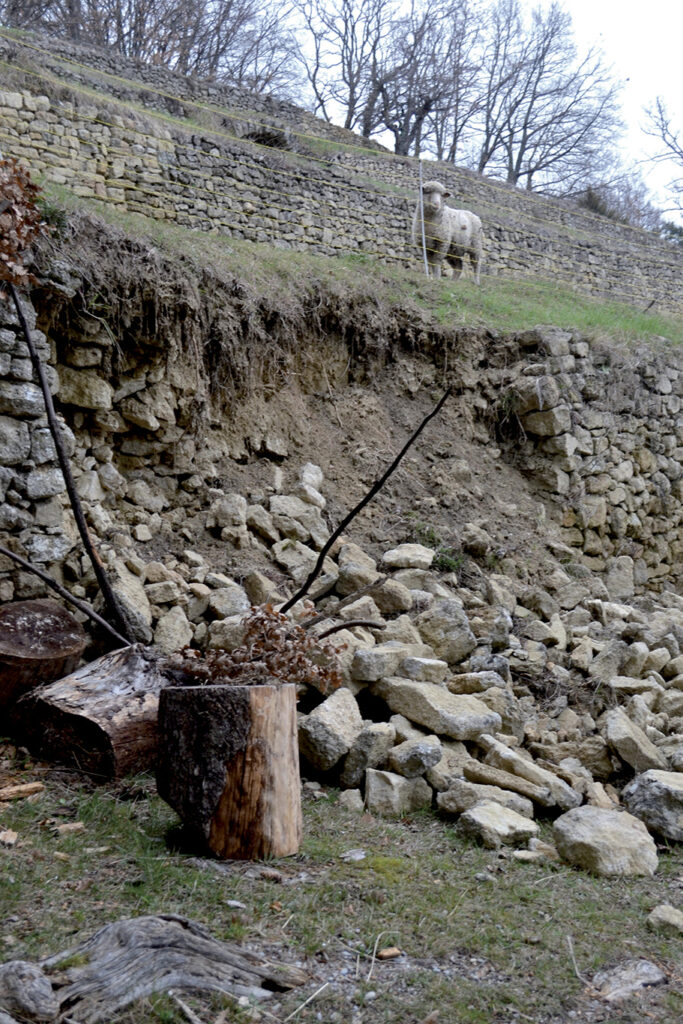 Éboulement d'un mur ancien de soutènement en pierre sèche, dû à une surcharge d'exploitation
