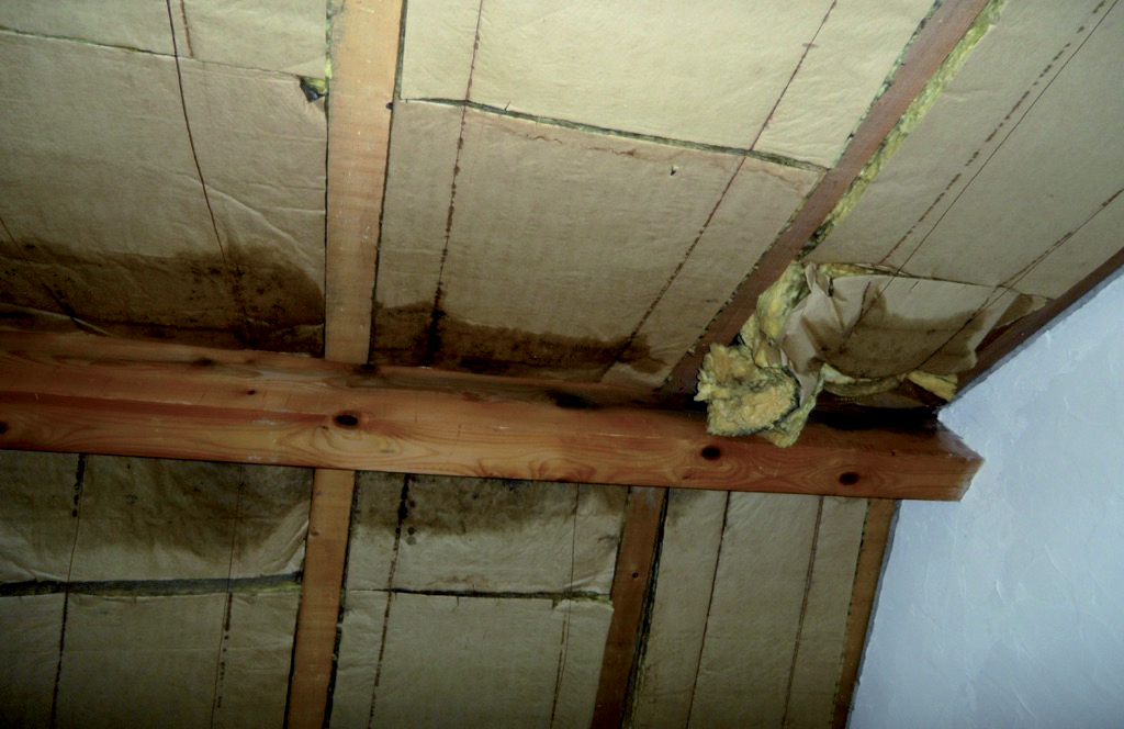 Isolation de plafond présentant des signes de condensations et absence de pare vapeur intérieur