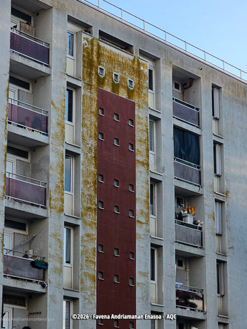 Désordre bâtiment : Micro-organismes sur façade rugueuse exposée nord - Concours Photo AQC 2026 - Faneva Andriamanantenasoa