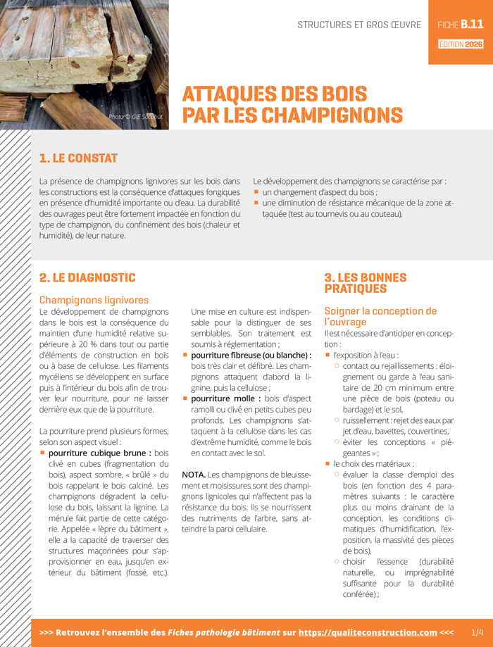 Fiche pathologie bâtiment - B.11 « Les attaques des bois par champignons » - AQC