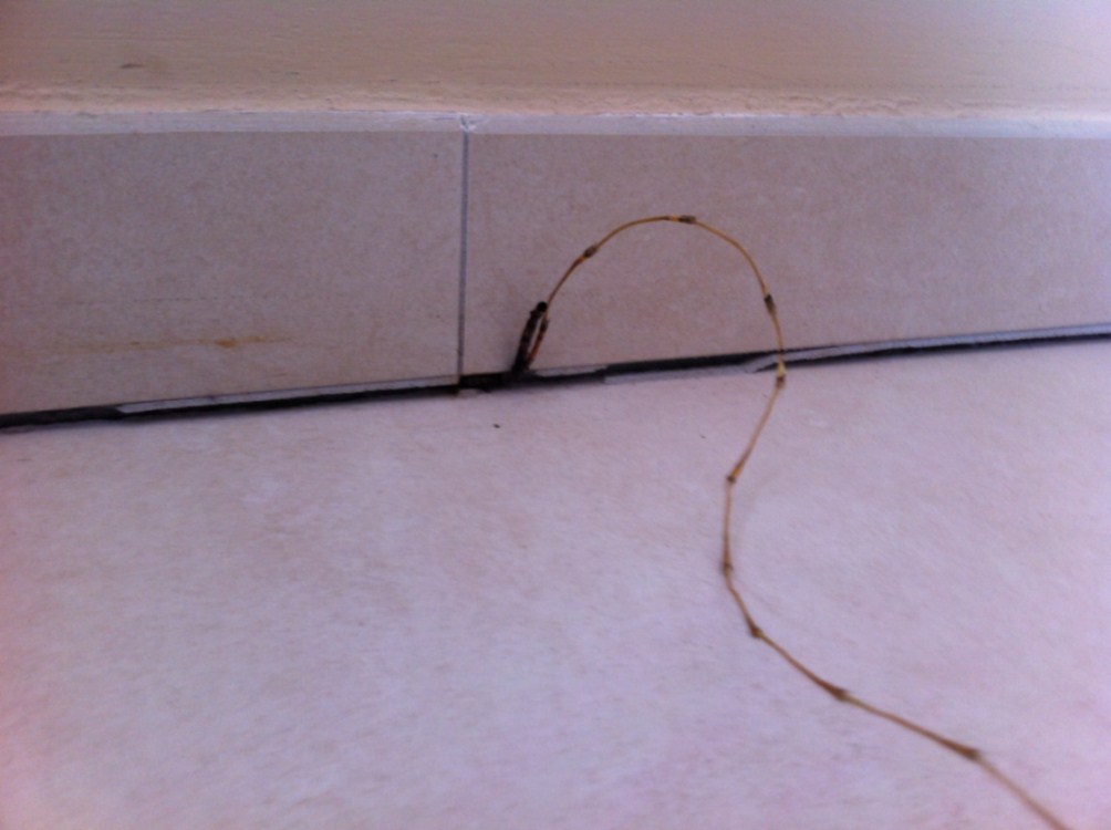 La végétation pousse entre les plinthes et le carrelage au niveau du tassement > 1 cm