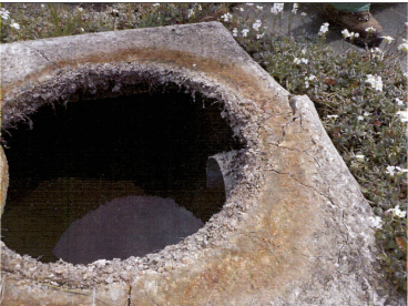 Fosse septique au béton détérioré par les gaz de fermentation suite à une mauvaise ventilation