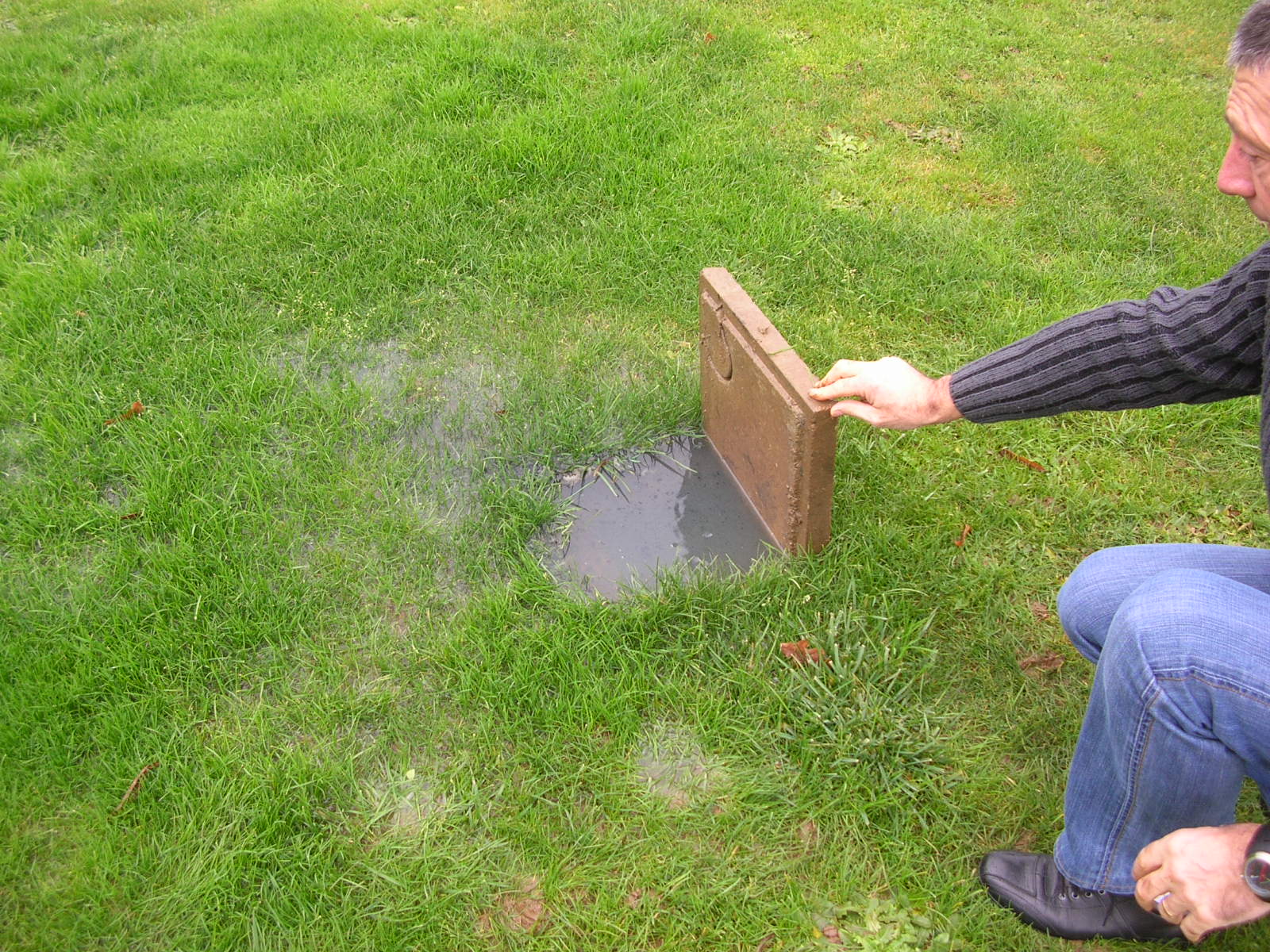Regard aval d'un épandage qui est saturé d'eau sur un terrain gazonné