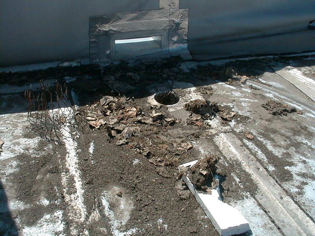 Obstruction d'une descente d'eau pluviale par accumulation de déchets et absence de crapaudine.