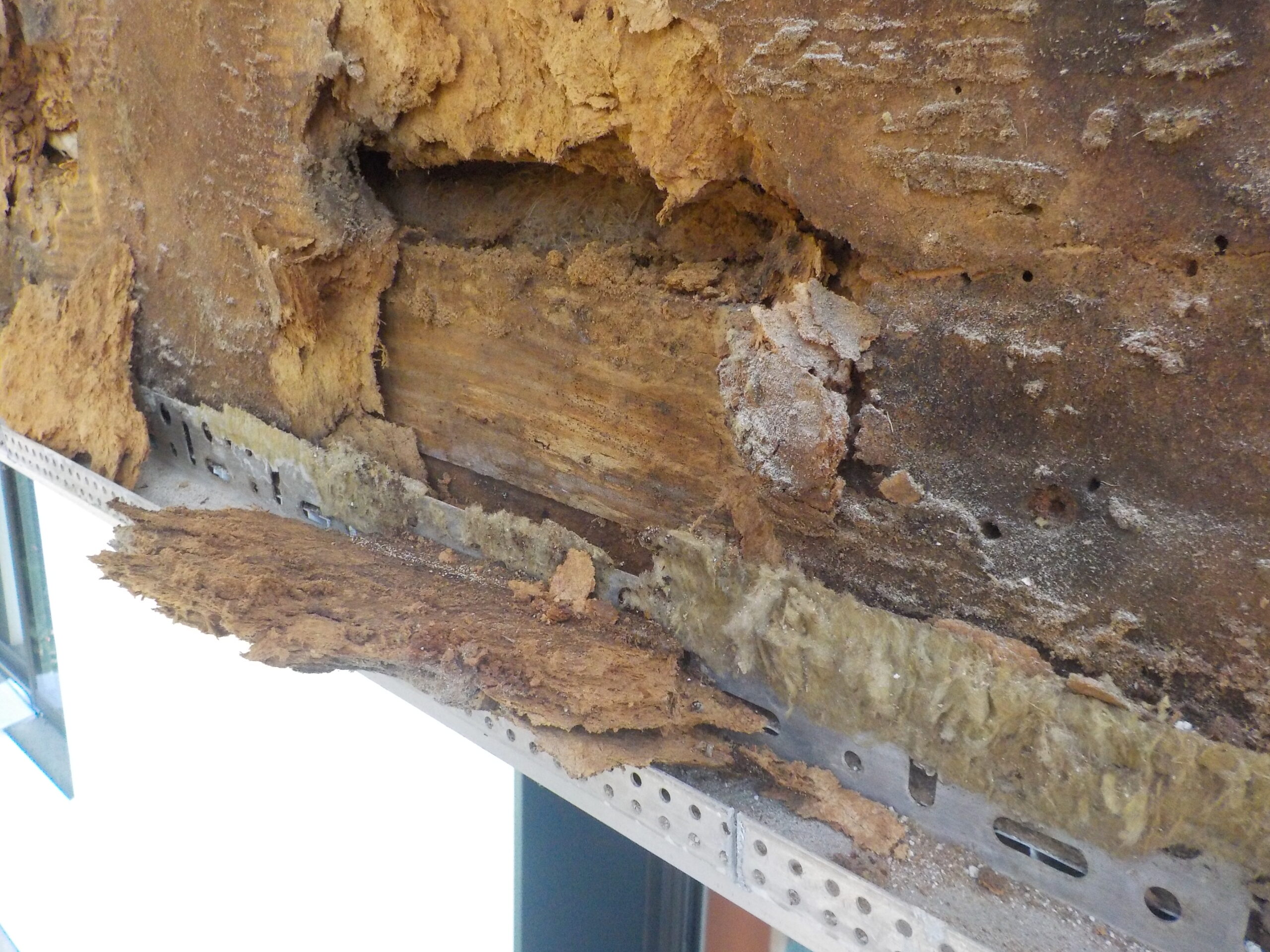 Vue sur les désordres&nbsp;: dégradation de la structure bois
