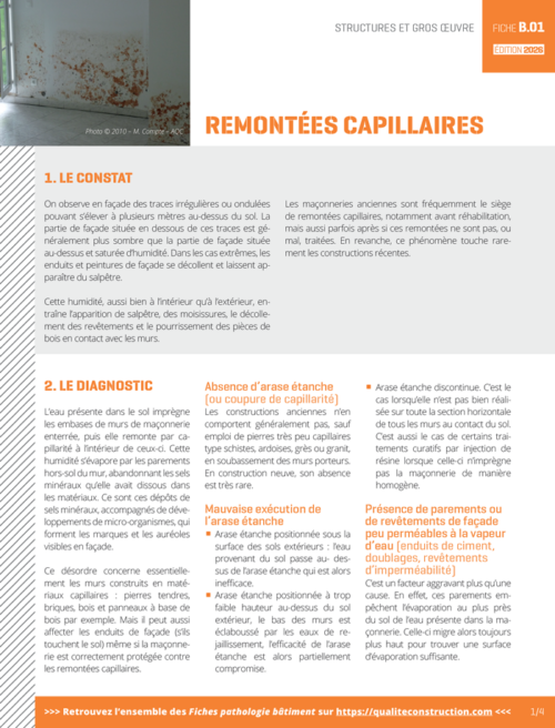 Fiche pathologie bâtiment - B.01 «&nbsp;Remontées capillaires&nbsp;» - AQC