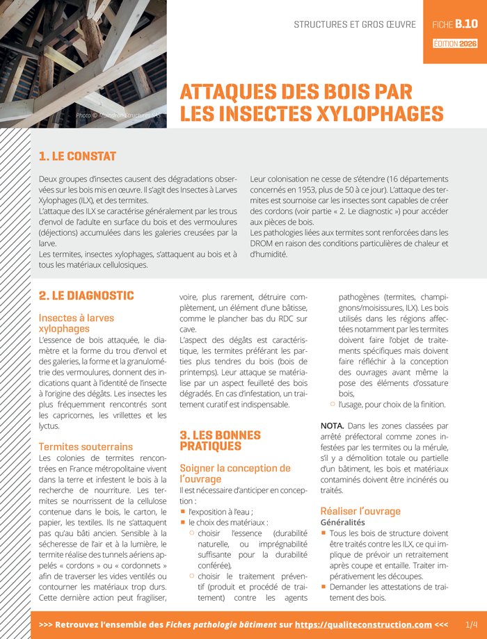 Fiche pathologie bâtiment - B.10 « Les attaques des bois par les agents biologiques » - AQC