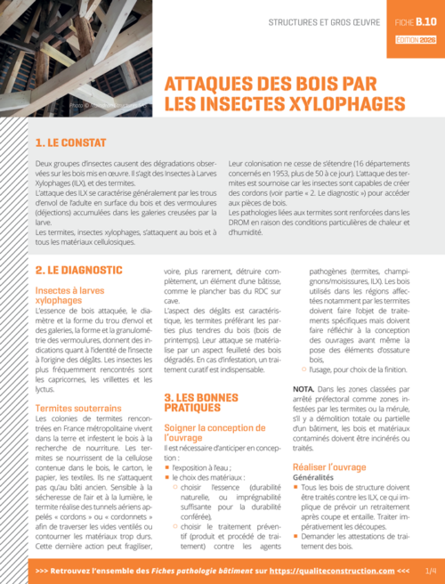 Fiche pathologie bâtiment - B.10 « Les attaques des bois les insectes xylophages » - AQC